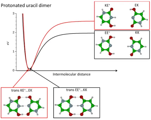 Figure  4:  schematic  of  the  dissociation  potential  curve  for  the  protonated  uracil  dimer