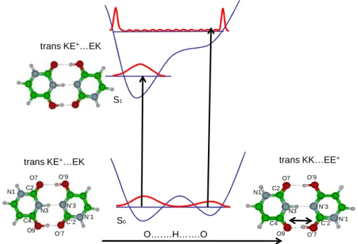 Figure  5:  scheme  of  the  potential  energy  function  along  the  OH..O  coordinate  in  the  protonated  uracil  dimer