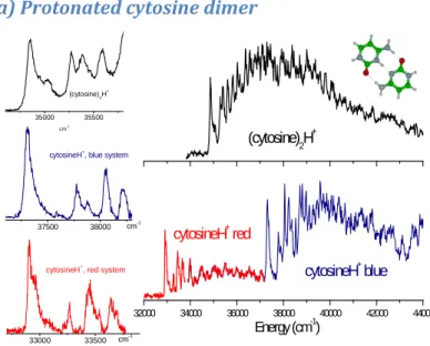 Figure 1:  photo-fragmentation spectrum of the protonated cytosine dimer (cytosine) 2 H +  compared to protonated cytosine  monomer  cytosineH + 