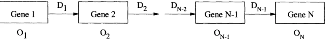Figure  4-1:  One  Dimensional  Chain  Model