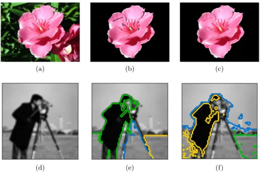 Fig. 1. (a) Original Image (Flower) (b) Power Rcut segment result (c) Power Rcut seg- seg-ment result post processing with opening (d) Original Image (Cameraman) (e)  Con-tours obtained by Power R cut and (f) ConCon-tours obtained by Normalized spectral cl