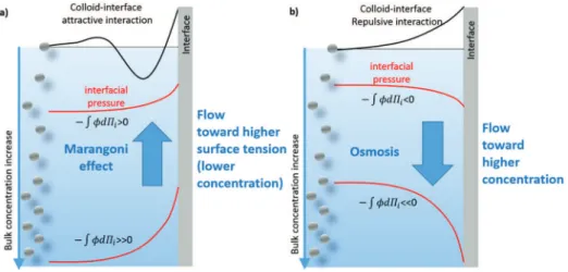 Figure 1.   Representation of the interfacially driven transport in presence of a gradient of colloid concentration tangentially to an interface