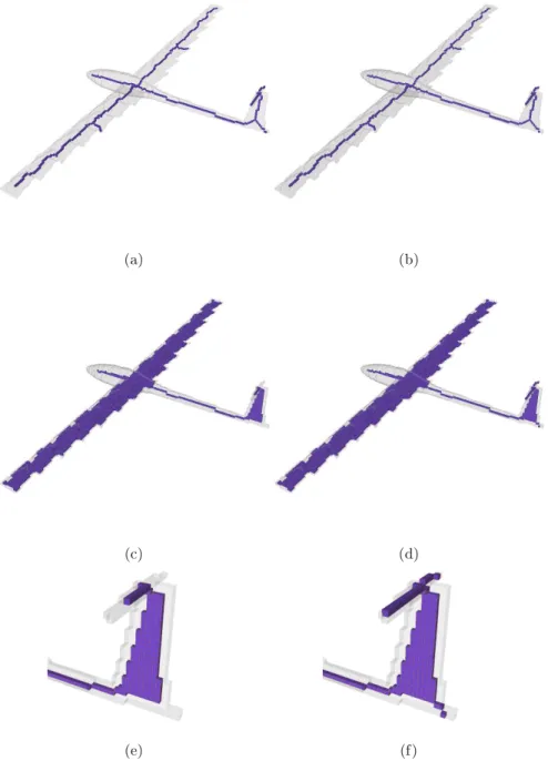 Fig. 7. Asymmetri skeletons obtained by using AsymThinningSheme. (a): the