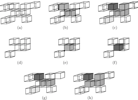 Fig. 4. (a): A omplex X made of preisely 12 voxels. (b): The traes of the