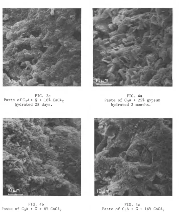 FIG.  3c  P a s t e   o f   C 3 A +   G  +  16% CaCE2  h y d r a t e d   28  days.  FIG