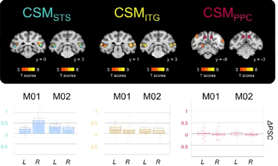Figure 7: Sensitivity to 2D motion in CSM STS , CSM ITG , and CSM PPC . Stronger responses to  2D motion than to static snapshots of the same video sequences are shown on coronal  slices from the individual anatomical template of each animal (upper panel)