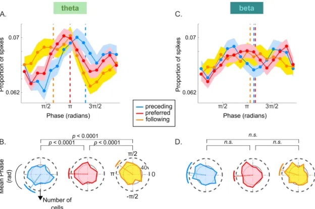 Figure 3: Phase encoding of successive stimuli. A, Distribution of spike phases relative to the theta band LFP for the preceding 
