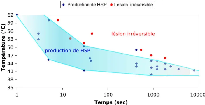 Figure 5 : Courbe d’expression des HSP en fonction du degré et de la durée du chauffage