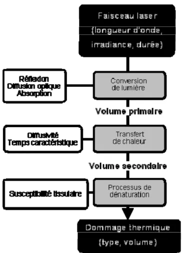 Figure 8: Schéma des 3 étapes de l’action thermique du tir laser 