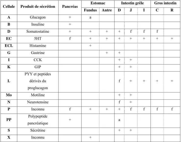 Tableau 1 : Classification et distribution des cellules endocrines chez l’homme [21].  D = Duodénum,   J = Jéjunum,   I = Iléon,   C = côlon,   R = rectum,   CCK = cholécystokinine,  