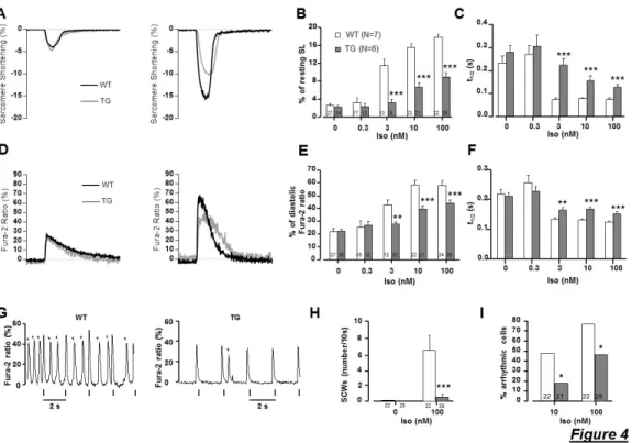 Figure  4:  myocardium  Ca 2+   transient  amplitude  and  sarcomere  shortening  are  preserved  under  basal  conditions  in  isolated  ventricular  cardiomyocytes  from  PDE4B-TG mice while the inotropic, lusitropic and pro-arrhythmic effects of Iso are
