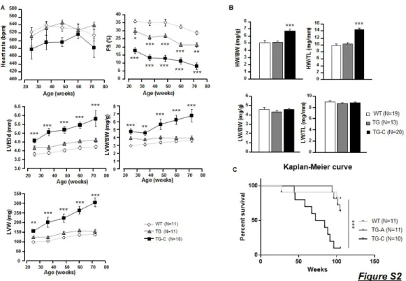 Figure S2: PDE4B overexpression does not alter mice survival during aging.   