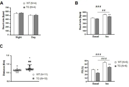 Figure S3: PDE4B-TG mice of heart function and physical exercise endurance.   