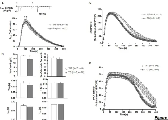 Figure S4: PDE4B inhibitor, Ro20-1724 (Ro), restores β-AR stimulation responses  in TG to WT levels