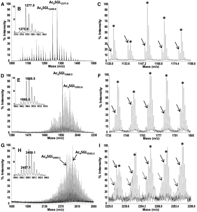 Fig.     2.   MALDI MS spectra in negative-ion mode of   M. tuberculosis  H37Rv Ac  2  SGL (A–C), Ac  3  SGL (D–F), and Ac  4  SGL (G–I)