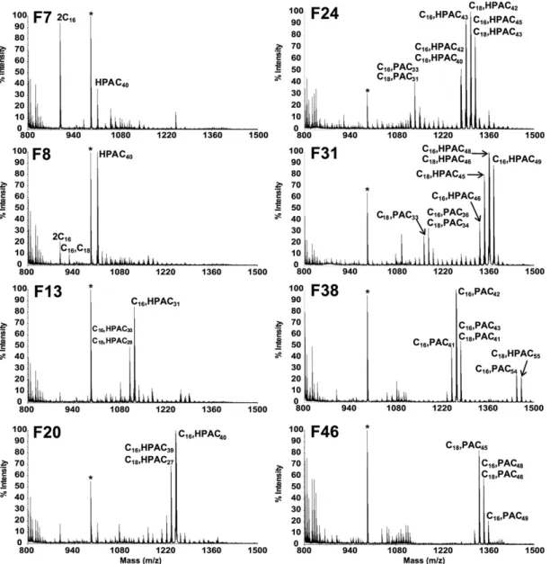 Fig.     4.  RP-HPLC  purifi cation of Ac  2  SGL, monitored by off-line negative-ion mode MALDI-TOF-MS is shown