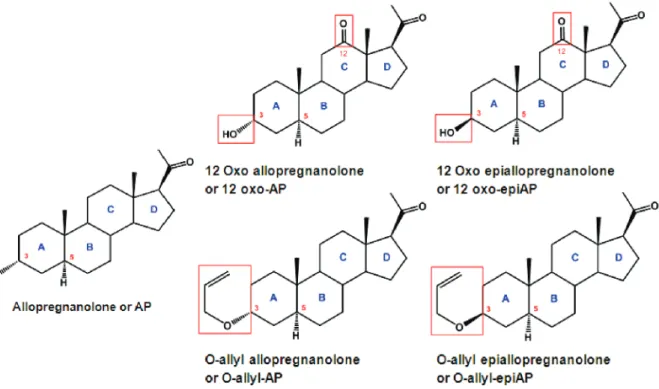 Figure  17:  Chemical  structures  of  allopregnanolone  analogs  investigated  in  this study