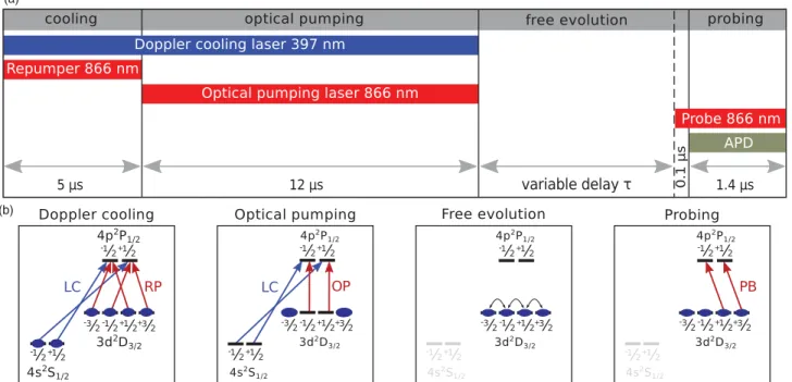 FIG. 12. (Color online) (a) Experimental sequence used to measure the coherence time of collective Zeeman substate coherences in the 3d 2 D 3/2 level