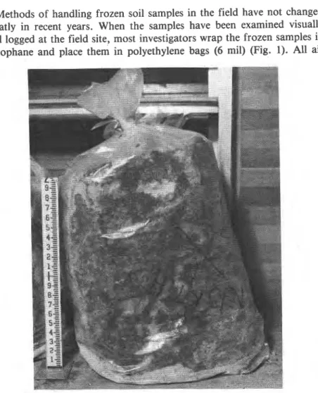 FIG.  I --Large  block  sample  of  frozen  soil delivered  from  the  feld  in a pofjefhyIene  bag  (scale in  tenth