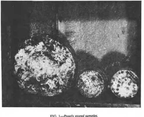 FIG.  1  -Poorly  stored samples. 