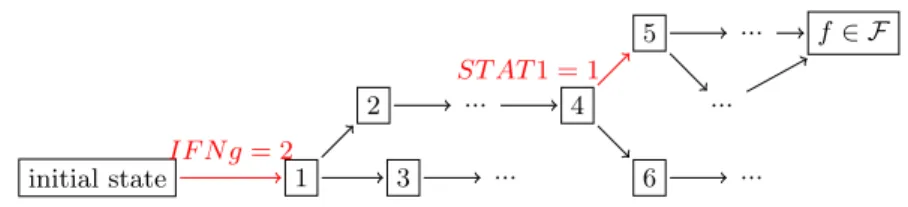 Fig. 6. Simplification of a perturbation path for T-helper cells