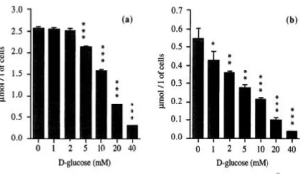 Figure  6  :  Cinétiques  d’élimination  du  3-OMG  (a)  et  du  6-DIG  (b)  par  les  érythrocytes  en  suspension à 25°C