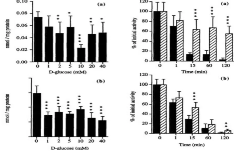 Figure 9: Cinétiques d’élimination du 3-OMG (a) et du 6-DIG (b) par les cardiomyocytes en  culture de rats néonataux