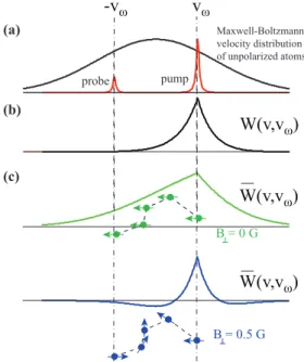 FIG. 1. (Color online) (a) The monochromatic, circularly polar- polar-ized pump laser of frequency ω selectively spin polarizes atoms in the velocity group around v ω that is Doppler shifted into resonance
