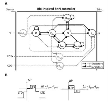 FIGURE 1 | Closed-loop injured respiratory system with the system Computation-Enabled Adaptive Ventilatory Control System (CENAVEX)