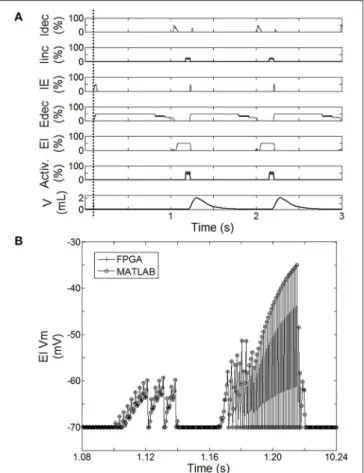 FIGURE 5 | Behavior of the spiking neural network (SNN) when the system is turned ON (after dashed line)