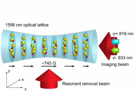 Fig. 1: Experimental setup. The Na atoms (yellow circles) and NaLi molecules (yellow and red circles on black sticks) are trapped in a 1D optical lattice formed by a 1,596-nm laser, which is retro-reflected
