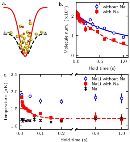 Fig. 2: Thermalization of Na and NaLi. a, The trapping potential of molecules (red solid line) is deeper than that of Na atoms (black dashed line)