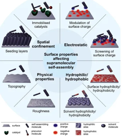 Figure 7: Overview of the surface properties that have been implicated in surface-mediated self-assembly processes 69 