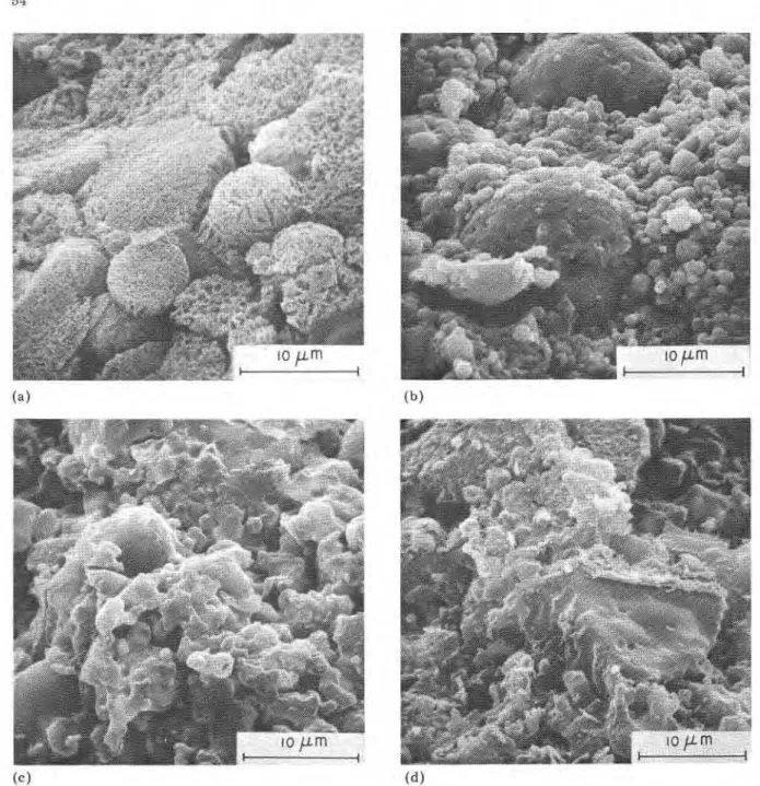 Fig. 10. Scanning electron micrographs of fractured  sulfur compacts: ( a )  Preparation  1,  ( b )   Preparation  2,  ( c )   Preparation 3, ( d )  Preparation 4