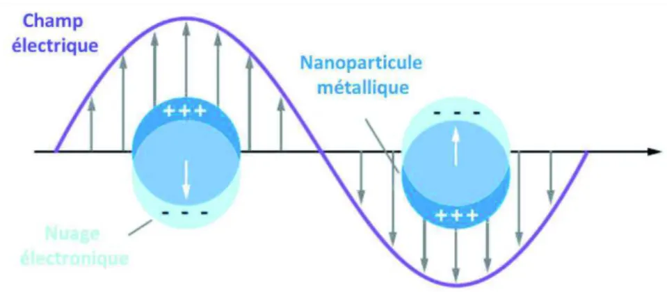 Figure 3 : Schéma de la Résonance de Plasmon de Surface Localisée 15