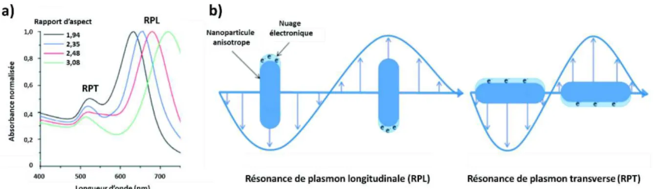Figure  6 : (a)  Spectres UV-Visible  de  nanobâtonnets  d’or  de  rapport  d’aspect  différent 24  (b) Représentation schématique des deux modes de résonance de plasmon  de surface d’un nanobâtonnet métallique  