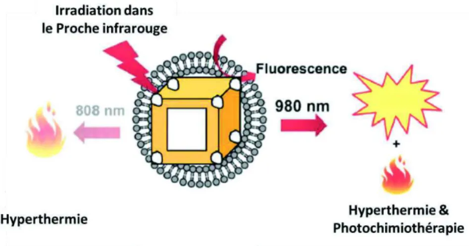 Figure 10 : Schéma descriptif de l’utilisation de nanocages d’or pour réaliser l’imagerie  par fluorescence, l’hyperthermie et la photochimiothérapie 35
