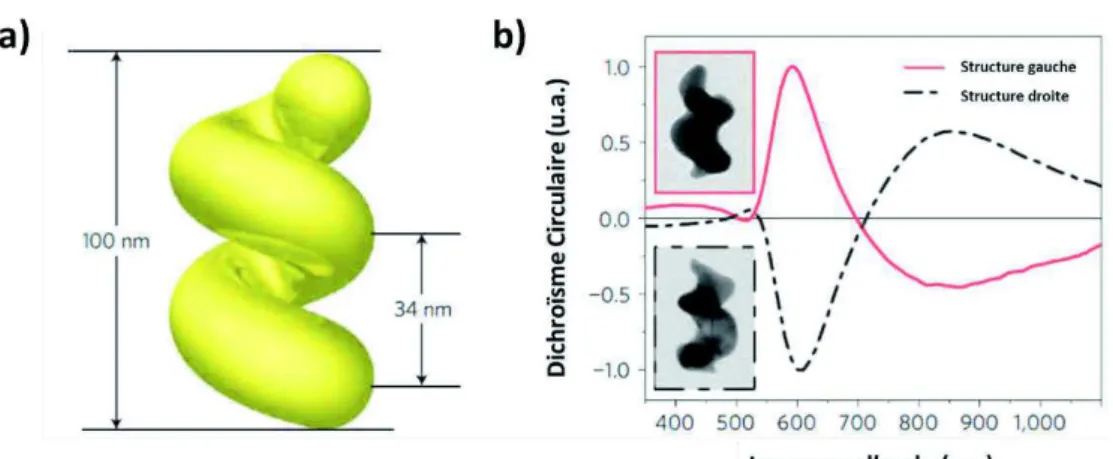 Figure  12 : (a)  Schéma  descriptif  d’une  nanohélice  d’or  (b)  Clichés  de  microscopie  électronique et spectres de dichroïsme circulaire de nanohélices gauches et droites 43