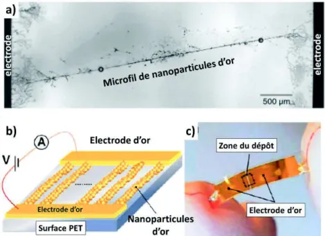 Figure  16 : (a)  Images  de  microscopie  électronique  de  l’organisation  de  nanoparticules  d’or  sous  l’effet  d’un  champ  électrique  entre  deux  électrodes 64   (b)  Schéma descriptif de la formation d’assemblage de nanosphères d’or en nanofils 