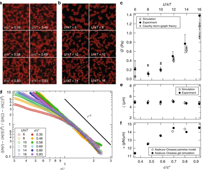 Fig. 1 The microstructure and rheology of simulated and experimental gels. a Confocal micrographs and b simulation snapshots of depletion gels at different polymer concentration and ﬁ xed volume fraction ϕ = 0.20