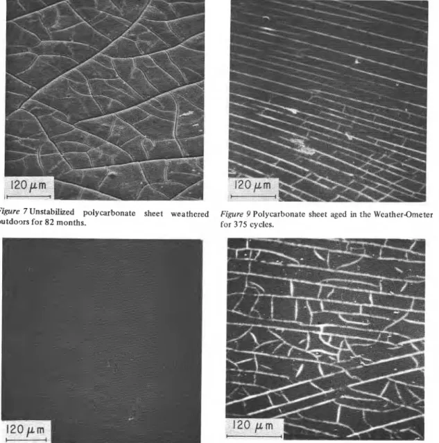 Figure  7Unstabilized  polycarbonate  sheet  weathered  Figure  9  Polycarbonate sheet aged  in  the Weather-Ometer 