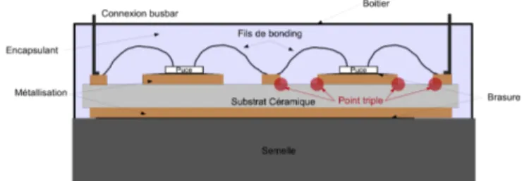 Fig. 1 Représentation schématique d’un module de puissance.