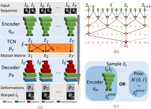 Fig. 1: Probabilistic motion model (a): The encoder q ω projects the image pair (I 0 , I t ) to a low-dimensional deformation encoding ˜z t from which the temporal convolutional network p γ (b) constructs the motion matrix z ∈ R d×T conditioned on the norm
