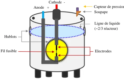 Figure 1. Le réacteur et ses principaux éléments. 