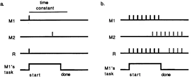 Figure  2-6.  a.  In  Brooks'  packet  model,  MI  takes  control  of  the  suppressor  node  for  a  preset length  of  time