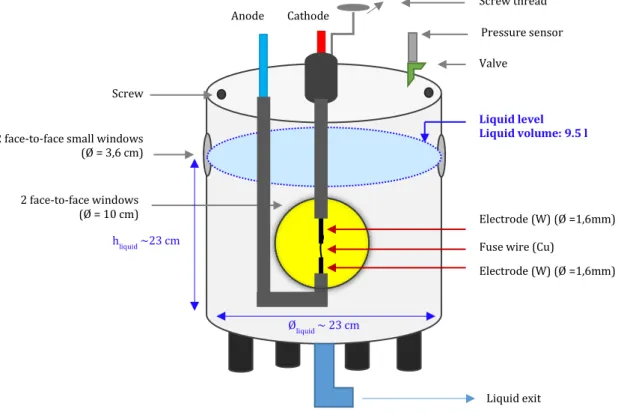 Figure 1 Scheme of the reactor 