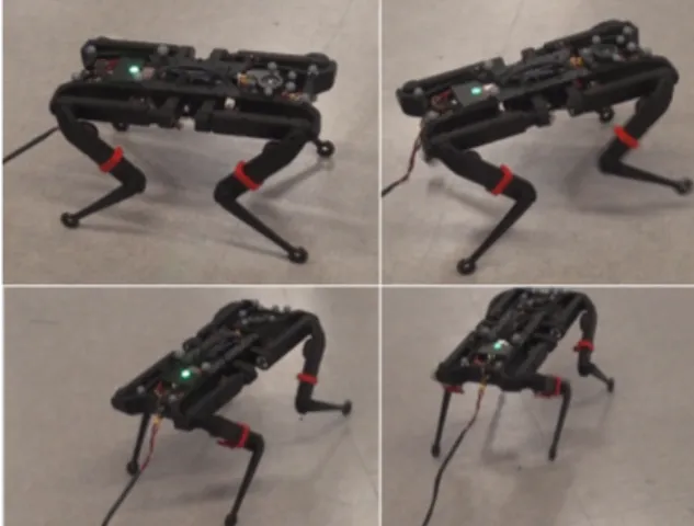 Fig. 1. Solo [9] performing trotting during the experiments. Motions from different controllers were tried on Solo