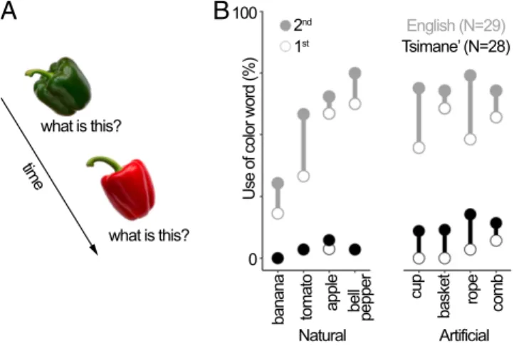 Fig. 6. The Tsimane ’ use color terms less frequently than English speakers.