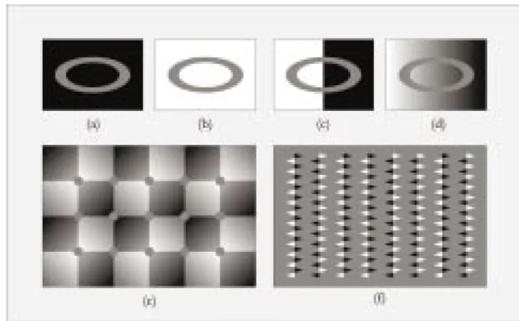 Figure 1 (Todorovic´). (a,b) Simultaneous lightness contrast. The two gray elliptical rings are physically identical but look different.