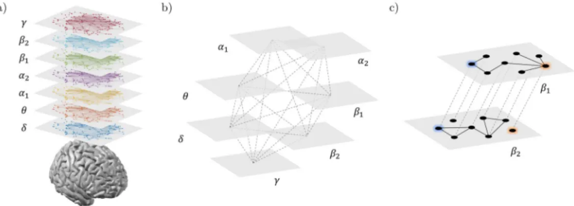 Figure 1.  Multi-frequency brain networks. Panel (a) shows brain networks of a representative subject extracted  from seven frequency bands